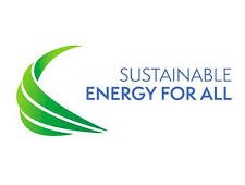 SE4ALL Energy Efficiency Committee Report