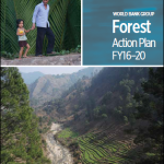 World Bank Group Forest Action Plan FY16–20