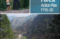 World Bank Group Forest Action Plan FY16–20